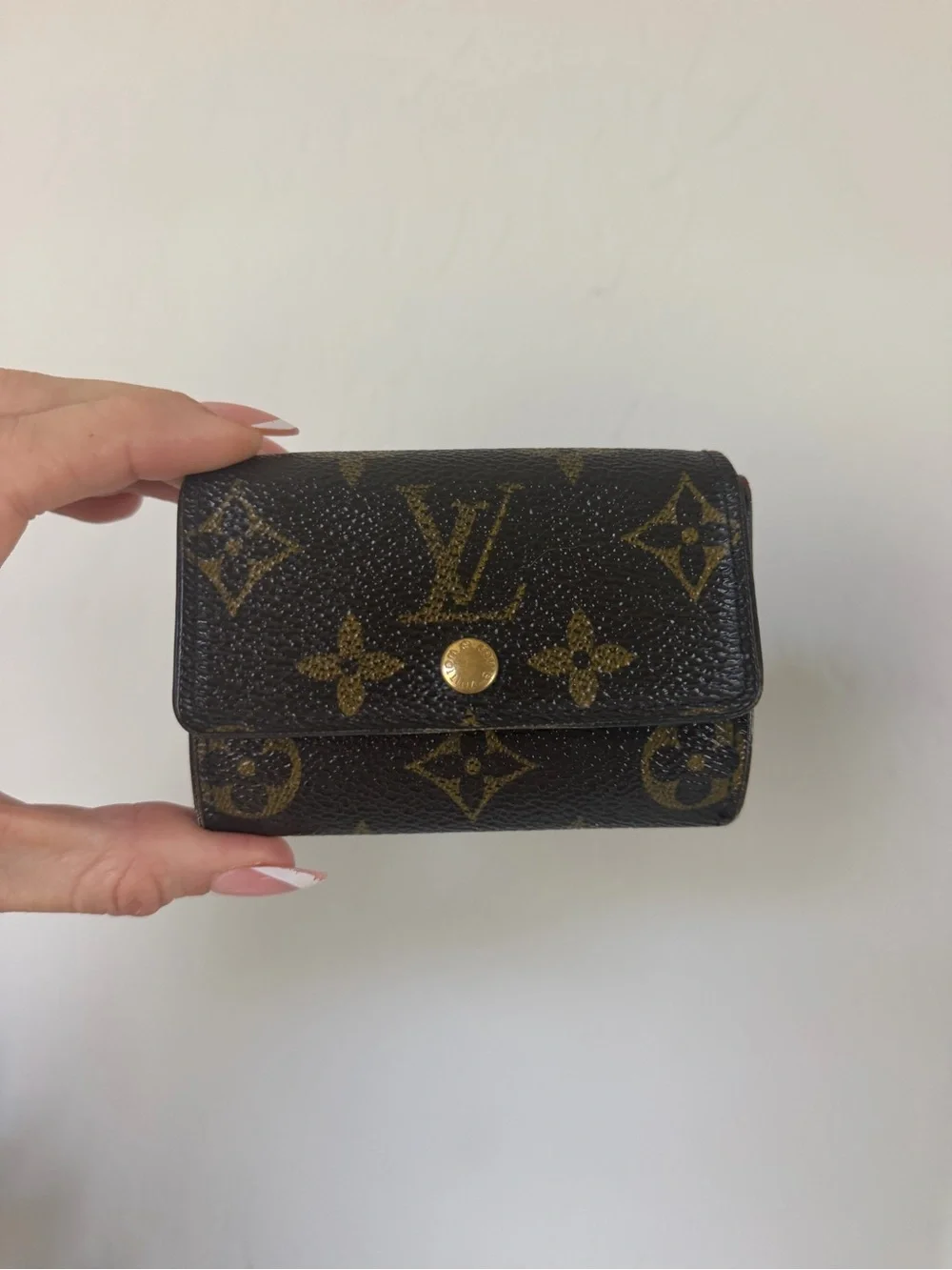Louis Vuitton classic louis